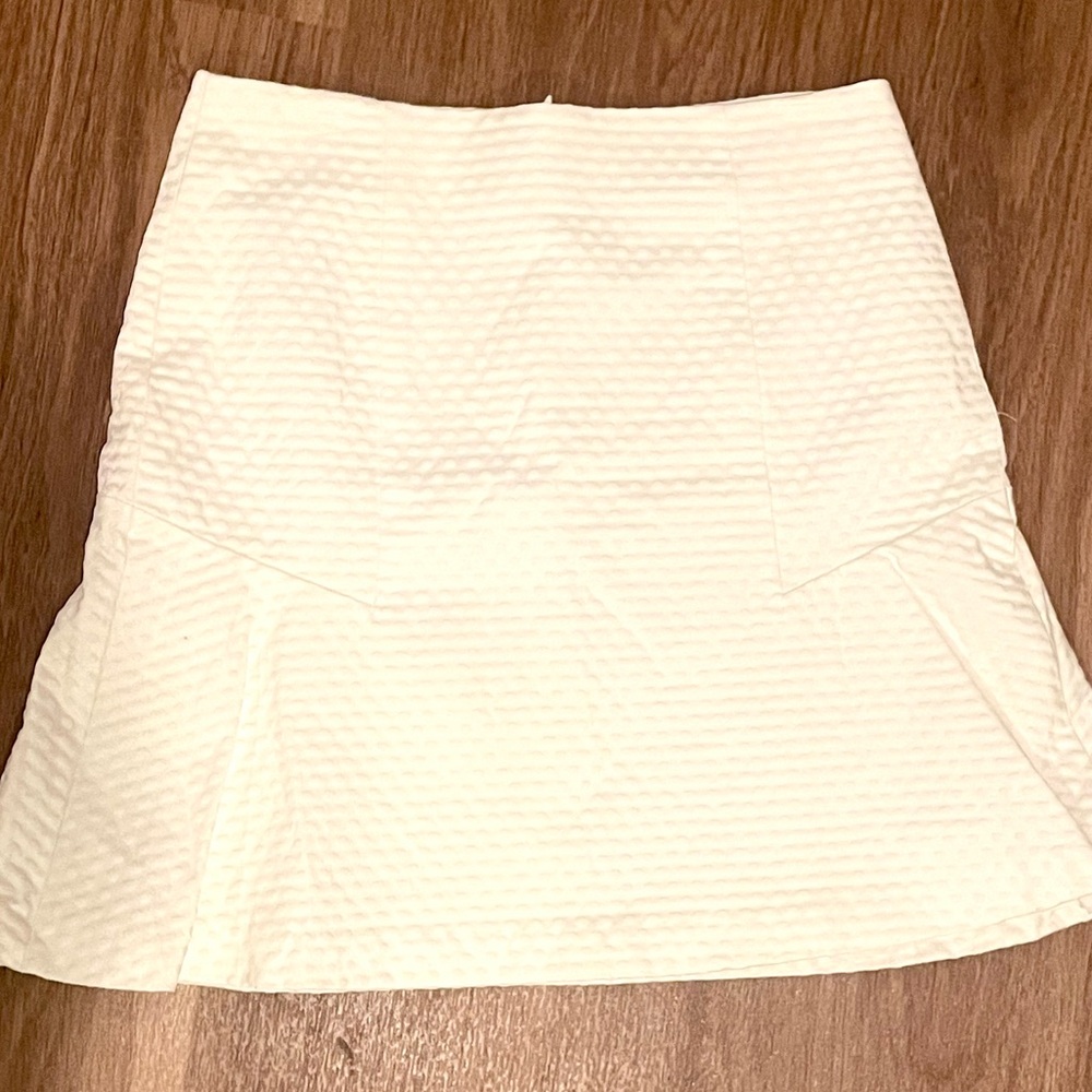 Ann Taylor skirt